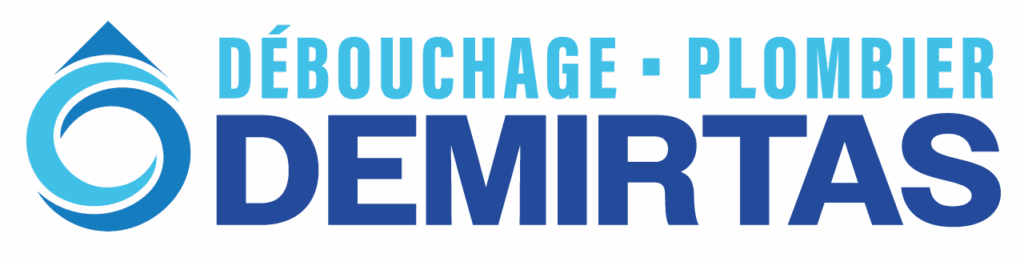 logo couleur plombier demirtas